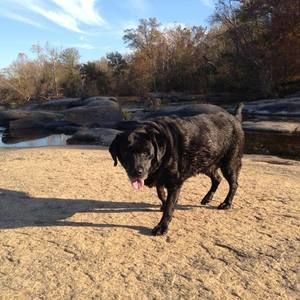 Meet your Posher, Sammy